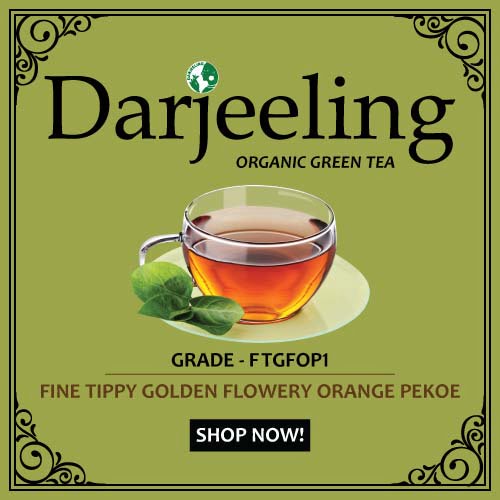 Darjeeling Green Tea – Whole Leaf