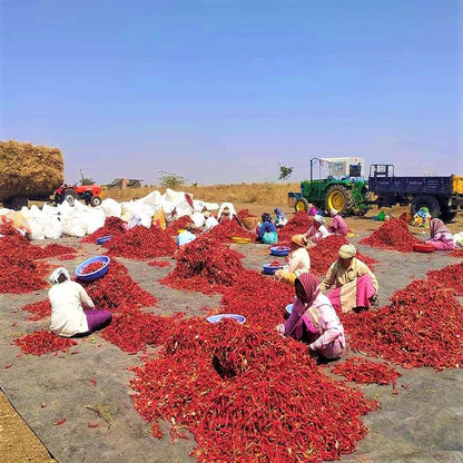 Byadagi Chilli – Karnataka (Whole)
