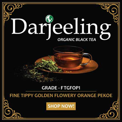 Darjeeling Black Tea – Whole Leaf (FTGFOP1 Grade)