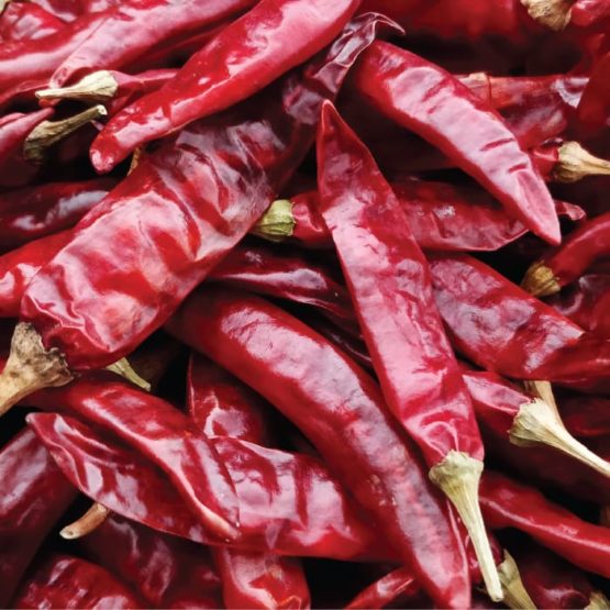 Guntur Sannam Chilli – Dry Red Chilli (Whole)