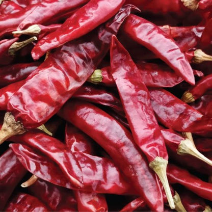 Guntur Sannam Chilli – Dry Red Chilli (Whole)